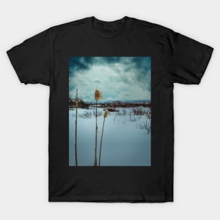 Winter's Dramatic Ballet V1 T-Shirt